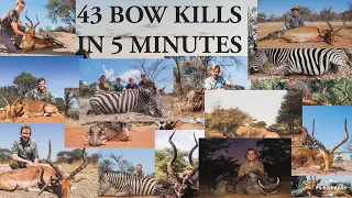 BOWHUNTING AFRICA - 43 BOWKILLS IN 5 MINUTES!!!