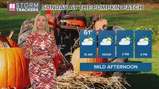 Weekend Forecast: cool mornings, bright and mild afternoons