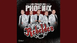 Los Pasajes Del Phoenix