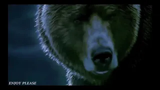 Bear Attack Scene (Into the Grizzly Maze 2016)