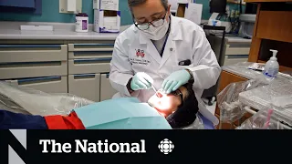 Seniors will be first to qualify for national dental-care program