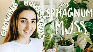 Growing Plants in Spagnum Moss?! How To + Tour of Plants in Moss