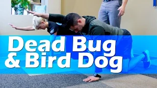 THY - Dead Bug and Bird Dog.