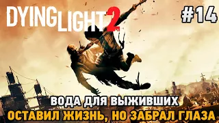 Dying Light 2 Stay Human #14 Вода для выживших, Оставил жизнь, но забрал глаза