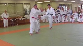 Mae geri KODOKAN GOSHIN JUTSU Stage KODOKAN 2018