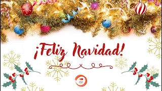 Feliz Navidad | Merry Christmas | Счастливого Рождества | Joyeux Noël | Frohe Weihnachten