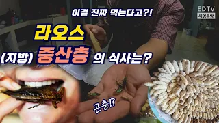 ep36. 라오스의 지역 유지(?)는 뭐 먹고 살까?