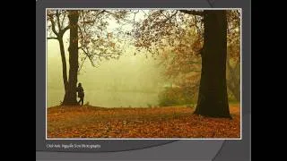 Le Piano De L'Automne -Paul Mauriat -Con Lai Chut Thu