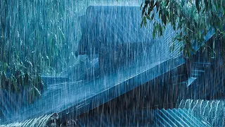 Night Thunderstorm Ambience | Terrible Hurricane Rain on Tin Roof, Intense Thunder & Wind Blowing