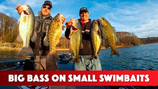 Fishing Swimbaits for Big Bass in the Winter