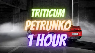 TRITICUM - Petrunko | 1 HOUR |