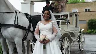 Official Wedding Highlights