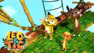 Leo and Tig 🦁 The Guiding Arrow - Episode 28 🐯 Funny Family Good Animated Cartoon for Kids