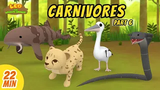 Carnivores Minisode Compilation (Part 6/6) - Leo the Wildlife Ranger | Animation | For Kids | Family