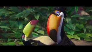 rio toucans family