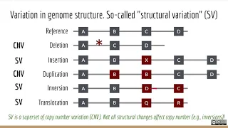 Applied Computational Genomics - 11 - What is Structural Variation and how do we detect it?