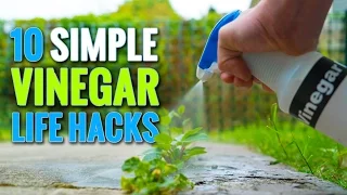 10 Simple Vinegar Life Hacks To Try At Home