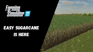 Easy Sugarcane Is Here - Farming Simulator 22