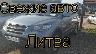 Цены на авто в Литве . Свежие авто под растаможку . Площадка в Таураге