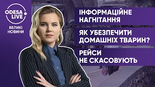 Інформаційна війна в Україні / В бомбосховище без тварин / Український авіапростір безпечний