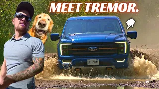 2022 Ford F-150 Tremor THERE'S ONE PROBLEM AND ITS NOT THE HEADLIGHTS