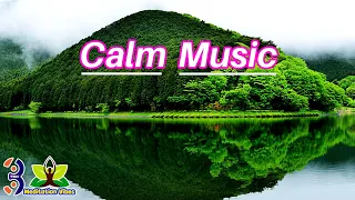 Beautiful Relaxing Music - Stop Overthinking, Stress Relief Music, Sleep Music, Calming Music #85