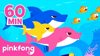 Mix - Tiburón Bebé Du ru du ru 🦈 | 60 Min | Baby Shark en español | Pinkfong Canciones Infantiles