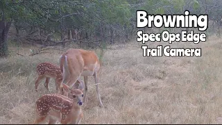 Browning Spec Ops Edge Trail Camera July 1-7, 2023