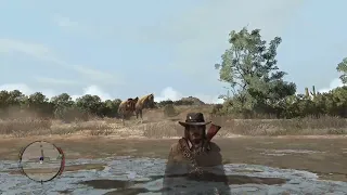 Interesting Detail I Never Noticed In Red Dead Redemption