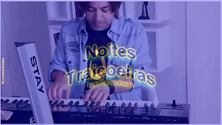 NOITES TRAIÇOEIRAS