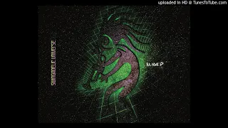Slideॐ - Find the Fusion | Swingadelic Universe | Dream Project Records [HQ]