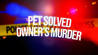 pets who solved their owner's murder
