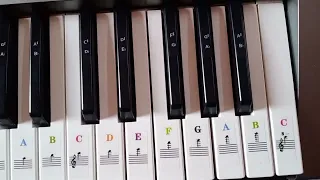 Piano sticker installation Yamaha psr e353 || 61 keys ||