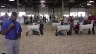 2015 - Sept 21st - Eastern Regional Oxford Show