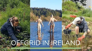 Volunteering Offgrid in Ireland | Rewilding a bog over 30 years