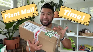 Surprise plant unboxing!