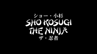 SHO KOSUGI: THE NINJA