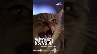 Scientists are starting to talk to animals using AI!