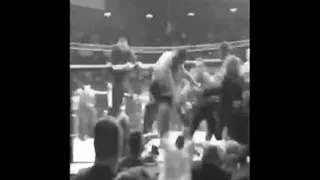 Khabib UFC 229 jump out cage on Dillon Danis (He knew He F*cked Up)