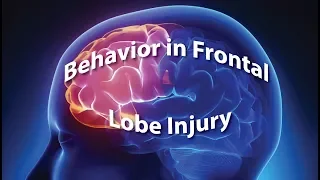 Behavior in Frontal Lobe Injury