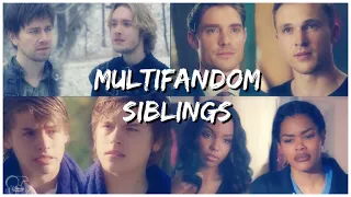 Multifandom Siblings - Everything That Had Gone Wrong In My Life Was His Fault