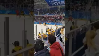 Золото хоккея 2018 Ликование...Gold Hockey 2018.. Exultation