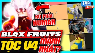 Roblox Blox Fruit: Tộc V4 Nào Mạnh Nhất Game? | meGAME