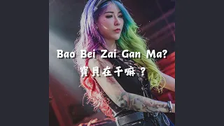 Bao Bei Zai Gan Ma? 宝贝在干嘛 (DY Music Version)