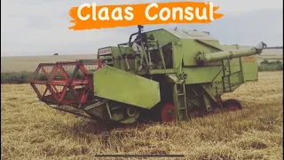 Claas Consul Клаас Консул крайні колоски пшенички на 2019 рік