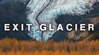 Exit Glacier | A Hiking & Natural History Guide, Seward Alaska [S1-E24]