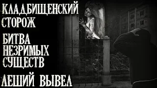 Истории на ночь (3в1): 1.Клад6ищенский сторож, 2.Битва незримых существ, 3.Леший вывел