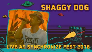 Shaggy Dog LIVE @ Synchronize Fest 2018