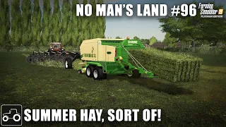 Mowing & Baling Grass For Hay - No Man's Land #96 Farming Simulator 19 Timelapse