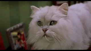 Stuart Little funny scene in Hindi - 1